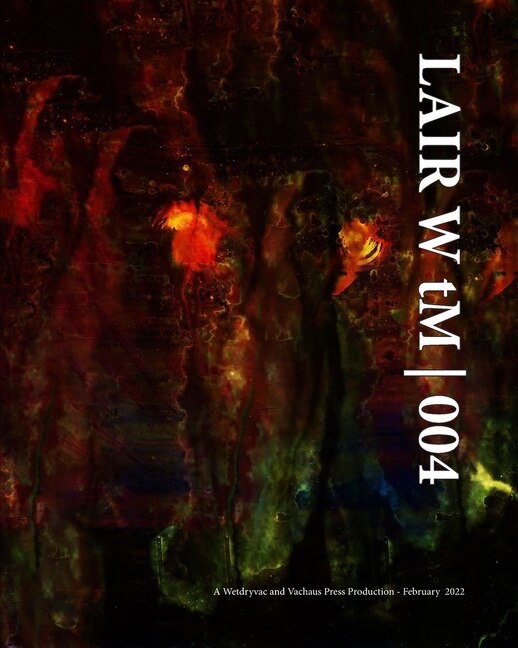 Lair W tM 004 by Wetdryvac Wetdryvac, Paperback | Indigo Chapters