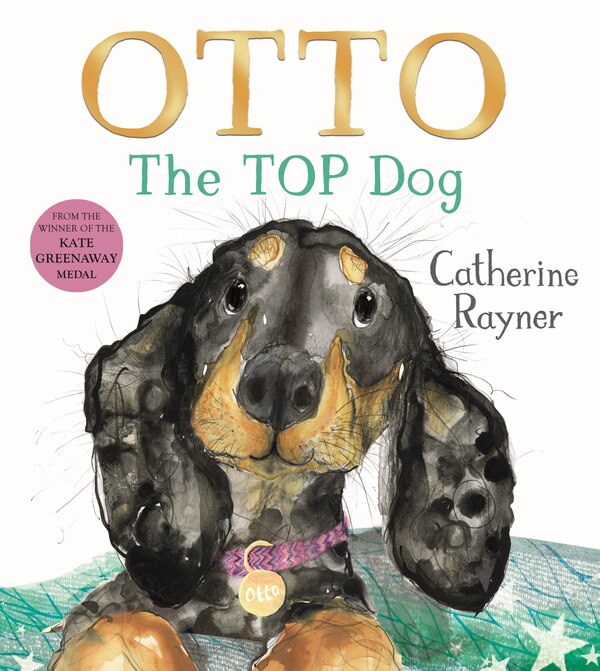 Otto by Catherine Rayner, Picture Books | Indigo Chapters