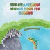 The Chameleon Which Lost Its Colour by Hafdis Hafsteins, Paperback | Indigo Chapters