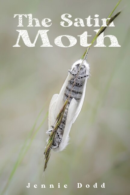 The Satin Moth by Jennie Dodd, Paperback | Indigo Chapters