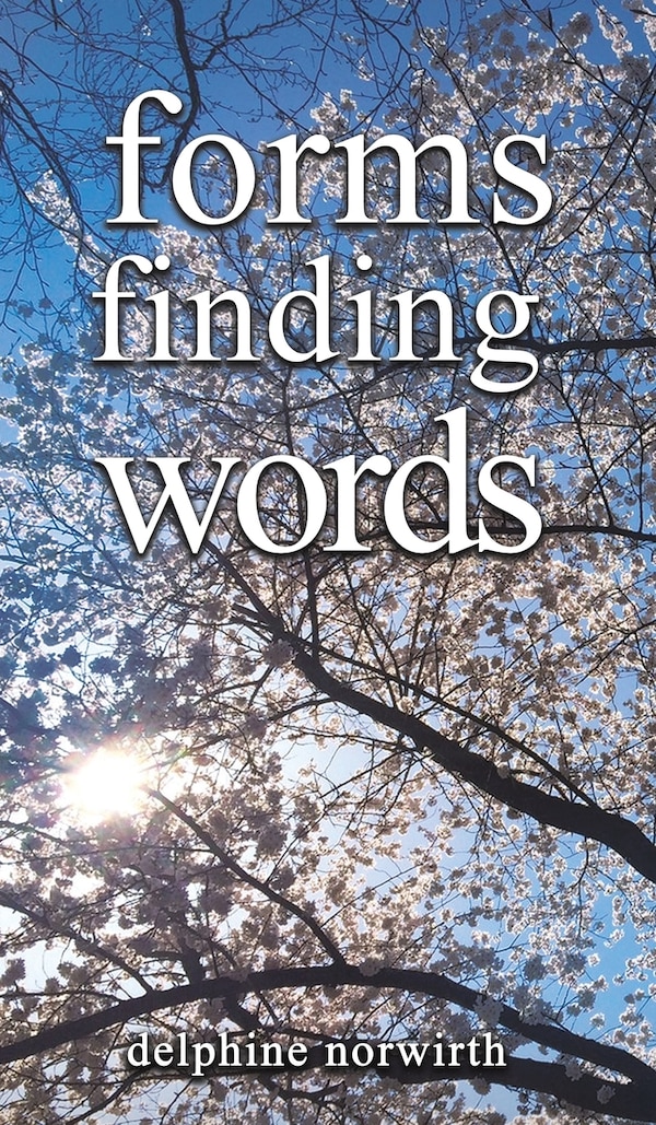 forms finding words by Delphine Norwirth, Hardcover | Indigo Chapters