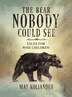 The Bear Nobody Could See by May Koliander, Hardcover | Indigo Chapters