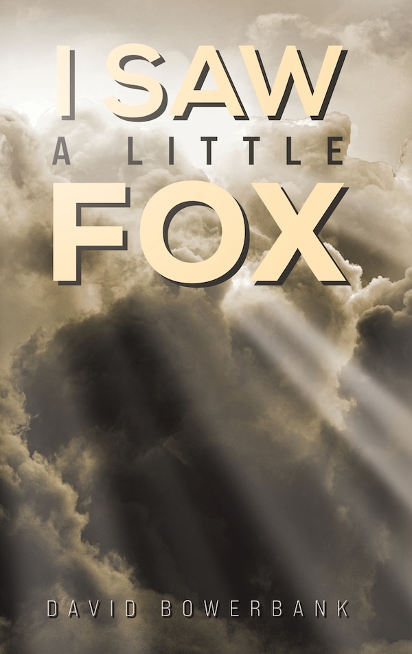 I Saw a Little Fox by David Bowerbank, Hardcover | Indigo Chapters