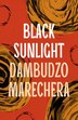 Black Sunlight by Dambudzo Marechera, Paperback | Indigo Chapters