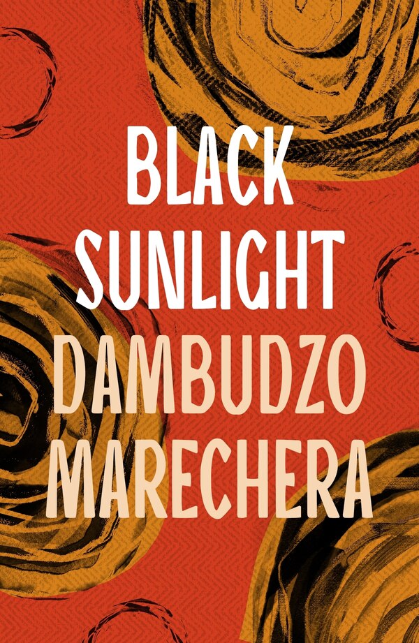 Black Sunlight by Dambudzo Marechera, Paperback | Indigo Chapters