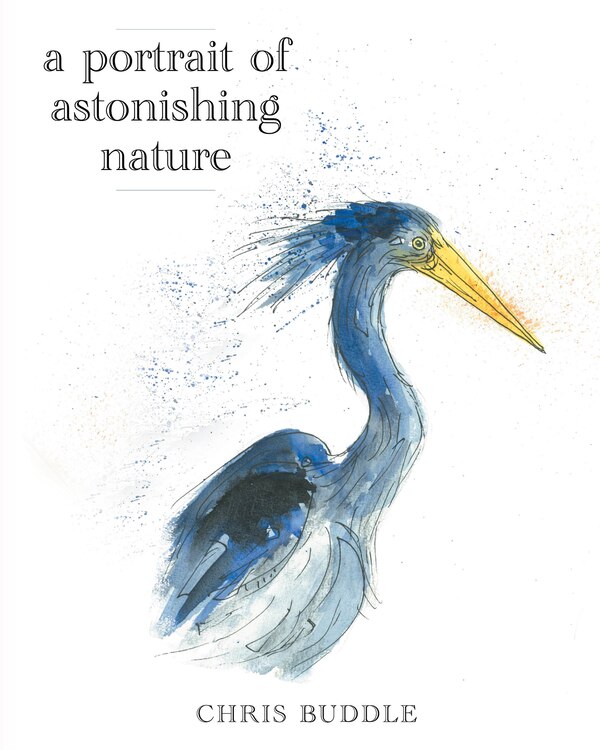 A Portrait of Astonishing Nature by Chris Buddle, Hardcover | Indigo Chapters