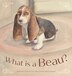 What is a Beau? by Deborah Louanne Grey, Hardcover | Indigo Chapters
