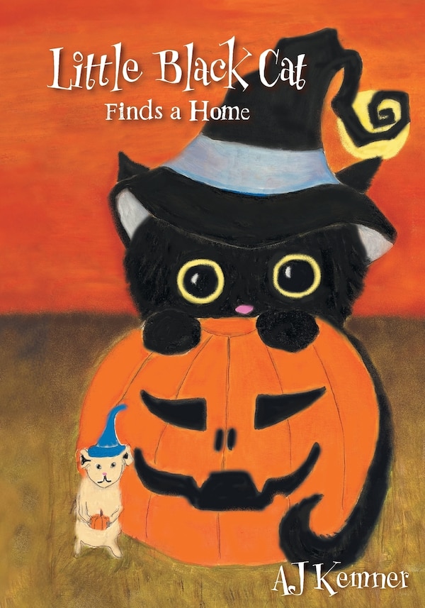 Little Black Cat Finds a Home by Aj Kemner, Paperback | Indigo Chapters