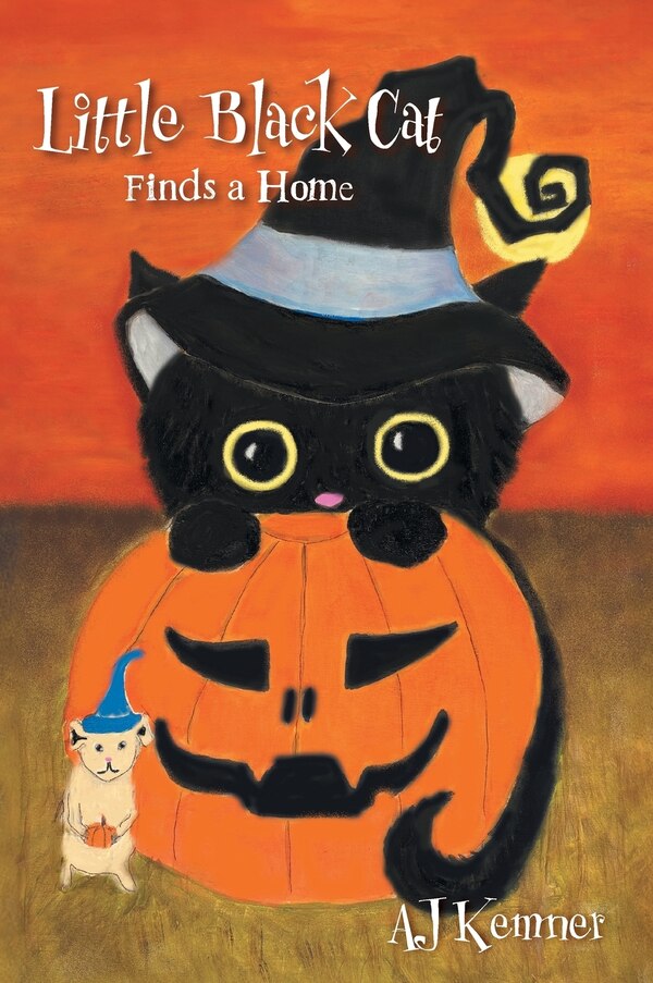 Little Black Cat Finds a Home by Aj Kemner, Hardcover | Indigo Chapters