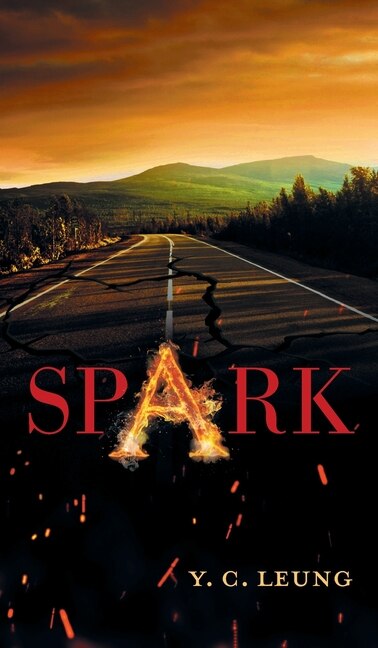 Spark by Y C Leung, Hardcover | Indigo Chapters