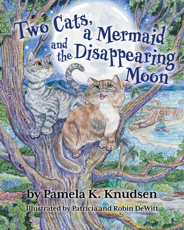 Two Cats a Mermaid and the Disappearing Moon by Pamela K Knudsen, Hardcover | Indigo Chapters