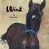Wink by Kevin Lakes, Paperback | Indigo Chapters
