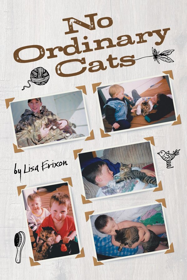 No Ordinary Cats by Lisa Erixon, Hardcover | Indigo Chapters