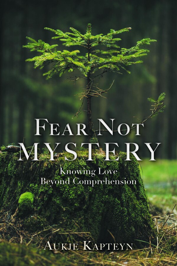 Fear Not Mystery by Aukje Kapteyn, Hardcover | Indigo Chapters