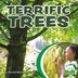 Terrific Trees by Harold Morris, Reinforced Library Binding | Indigo Chapters