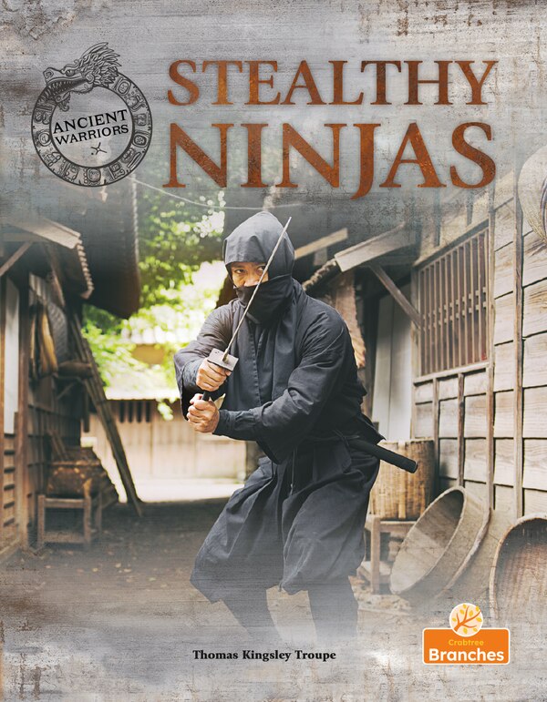 Stealthy Ninjas by Thomas Kingsley Troupe, Hardcover | Indigo Chapters