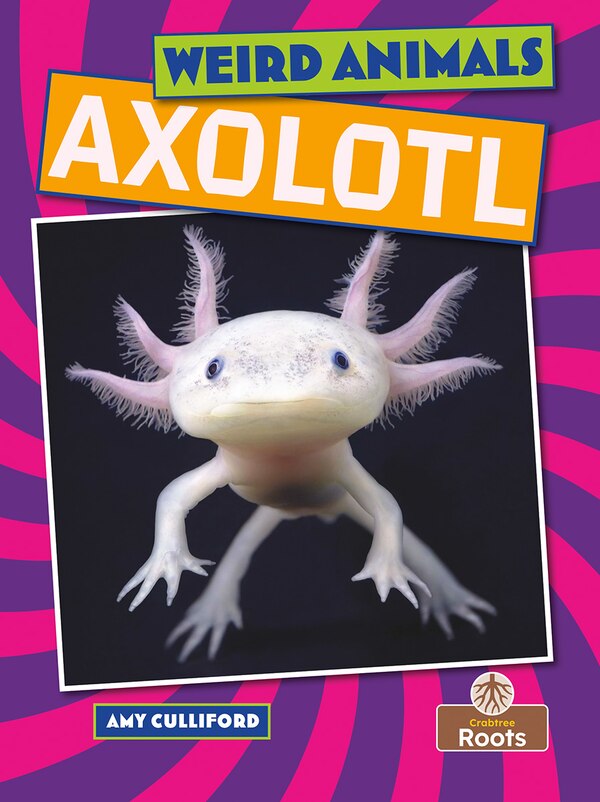 Axolotl by Amy Culliford, Hardcover | Indigo Chapters