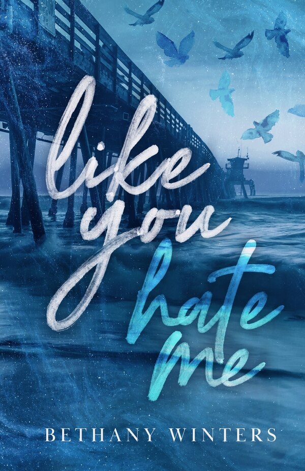 Like You Hate Me (Alternate Cover Edition) by Bethany Winters, Paperback | Indigo Chapters