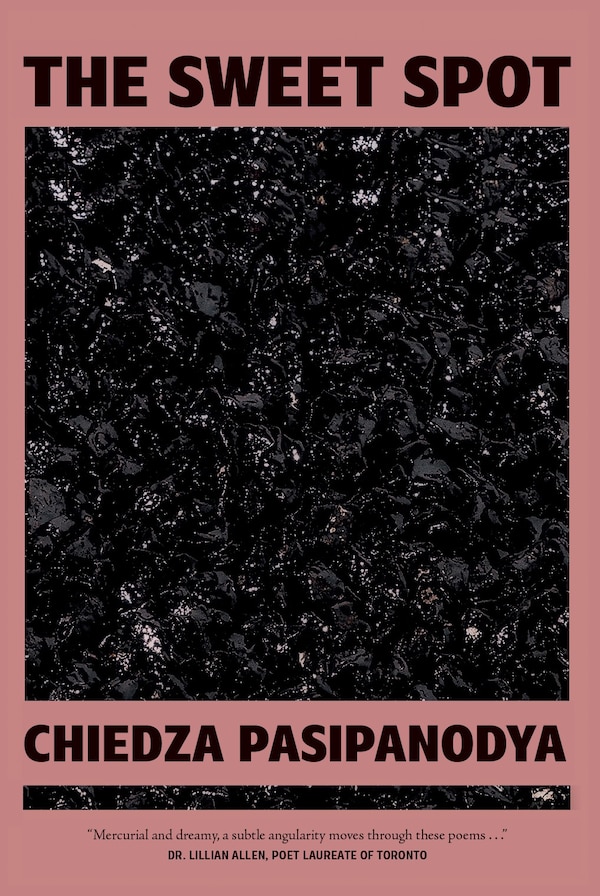 The Sweet Spot by Chiedza Pasipanodya, Paperback | Indigo Chapters