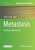 Metastasis by Ulrike S. Stein, Paperback | Indigo Chapters