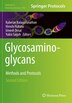Glycosaminoglycans by Kuberan Balagurunathan, Paperback | Indigo Chapters