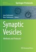 Synaptic Vesicles by Jana Dahlmanns, Paperback | Indigo Chapters