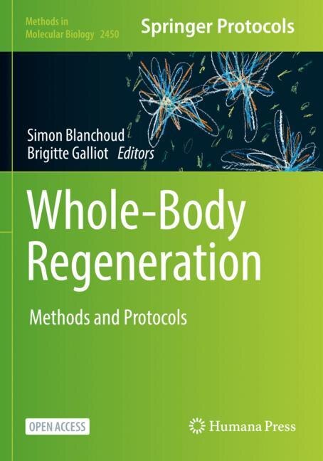 Whole-body Regeneration by Simon Blanchoud, Paperback | Indigo Chapters