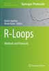 R-Loops by Andr Aguilera, Paperback | Indigo Chapters