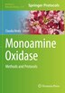 Monoamine Oxidase by Claudia Binda, Paperback | Indigo Chapters