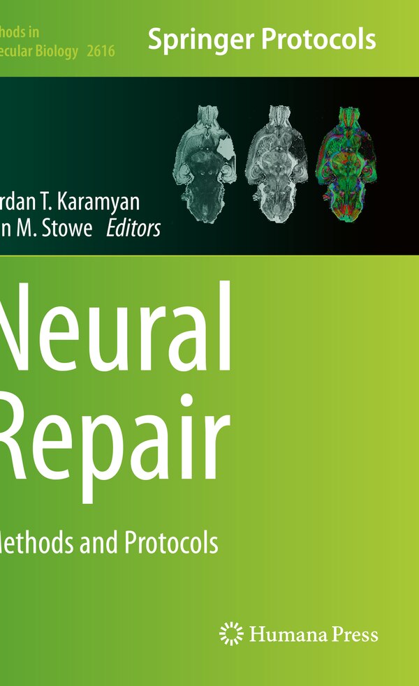 Neural Repair by Vardan T. Karamyan, Paperback | Indigo Chapters