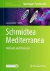 Schmidtea Mediterranea by Luca Gentile, Hardcover | Indigo Chapters