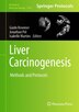 Liver Carcinogenesis by Guido Kroemer, Hardcover | Indigo Chapters