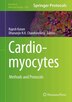 Cardiomyocytes by Rajesh Katare, Hardcover | Indigo Chapters
