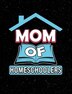 Mom Of Homeschoolers by Punny Notebooks, Paperback | Indigo Chapters