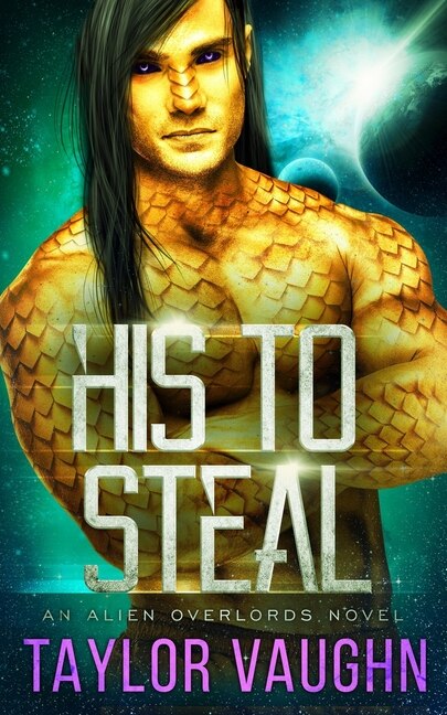 His To Steal by Eve Vaughn, Paperback | Indigo Chapters