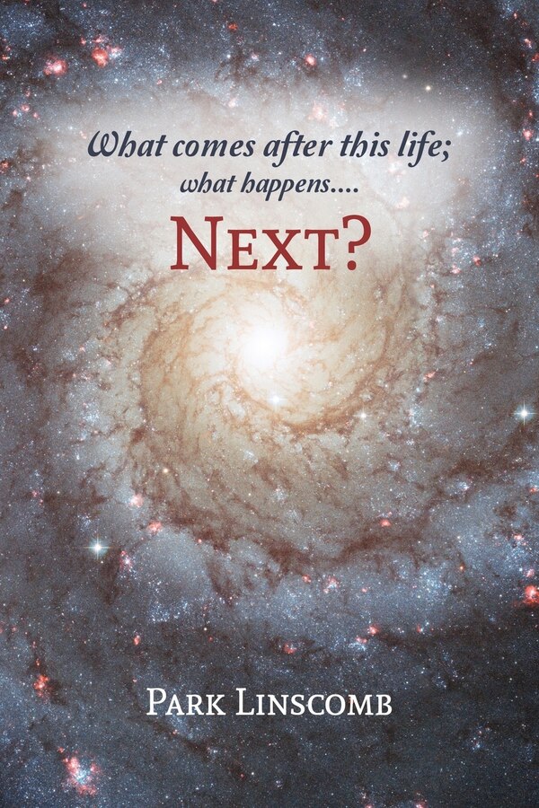 Next? by Park Linscomb, Paperback | Indigo Chapters