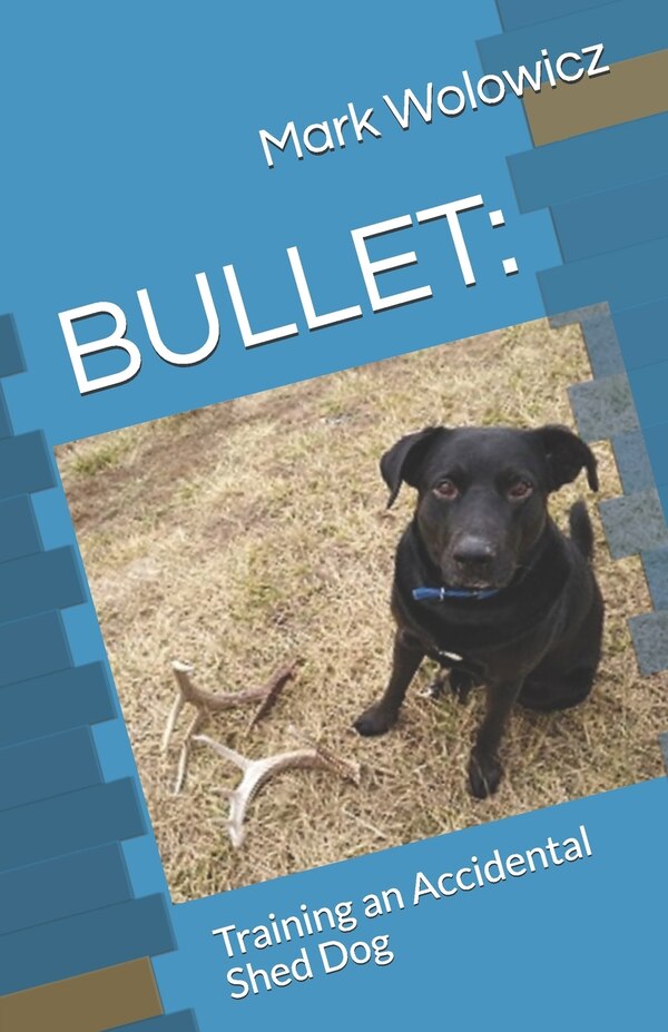 Bullet by Mark Wolowicz, Paperback | Indigo Chapters