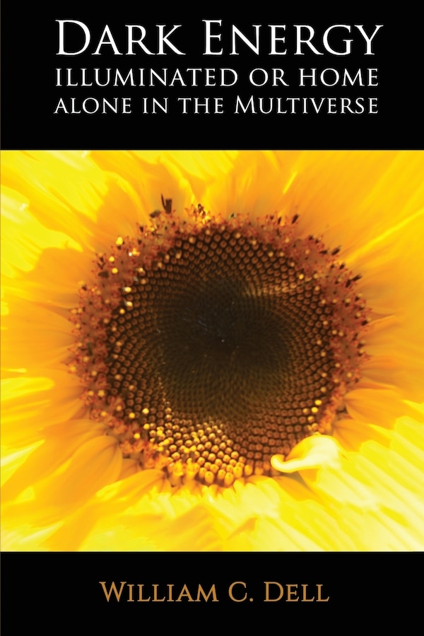 Home Alone in the Multiverse by William C Dell, Paperback | Indigo Chapters