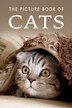 The Picture Book of Cats by Sunny Street Books, Paperback | Indigo Chapters