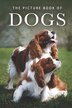 The Picture Book of Dogs by Sunny Street Books, Paperback | Indigo Chapters