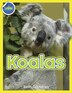 Koala Activity Workbook ages 4-8 by Beth Costanzo, Paperback | Indigo Chapters
