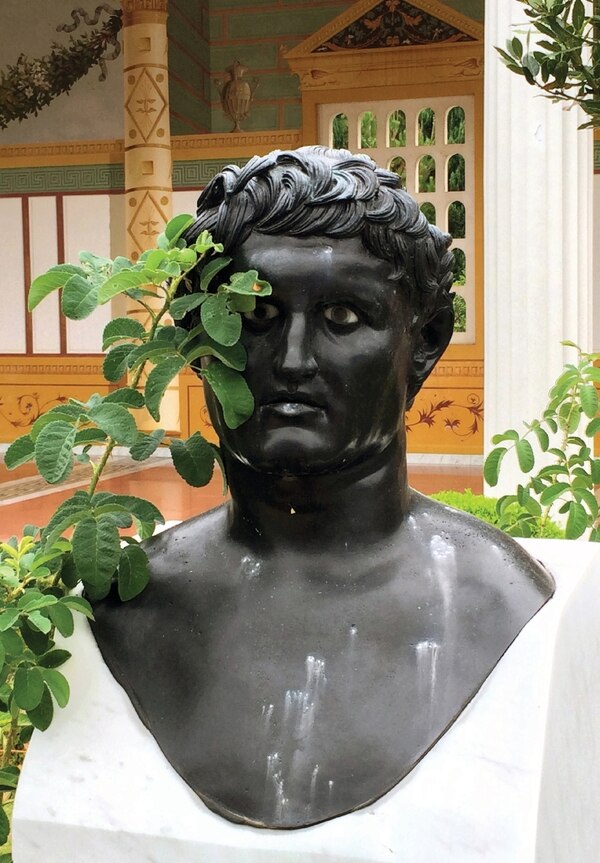 Cellybrain by Ray Potes, Paperback | Indigo Chapters