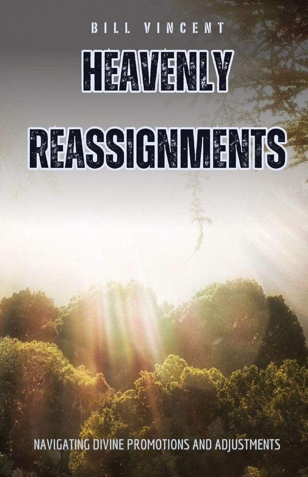 Heavenly Reassignments by Bill Vincent, Paperback | Indigo Chapters
