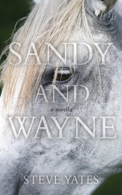 Sandy and Wayne by Steve Yates, Paperback | Indigo Chapters