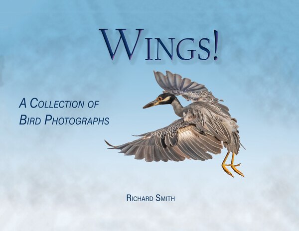 Wings by Richard Smith, Paperback | Indigo Chapters