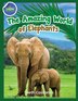 Elephants Activity Workbook for Kids ages 4-8 by Beth Costanzo, Paperback | Indigo Chapters