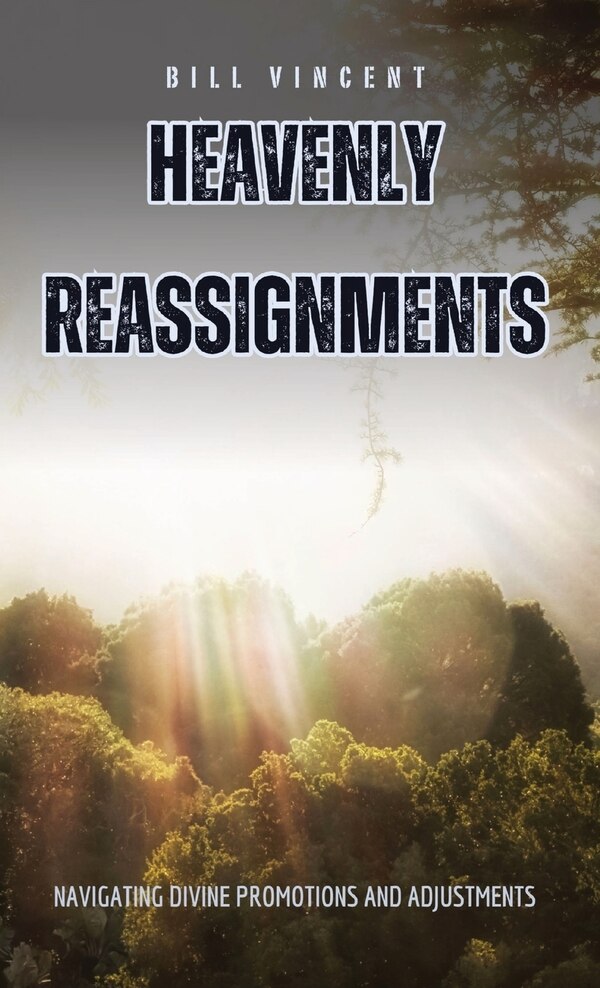 Heavenly Reassignments by Bill Vincent, Hardcover | Indigo Chapters