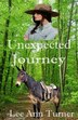 Unexpected Journey by Lee Ann Turner, Paperback | Indigo Chapters