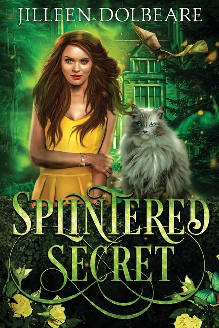 Splintered Secret by Jilleen Dolbeare, Paperback | Indigo Chapters