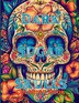 Dark Sugar Skulls Coloring Book by Kailyn Bail, Paperback | Indigo Chapters